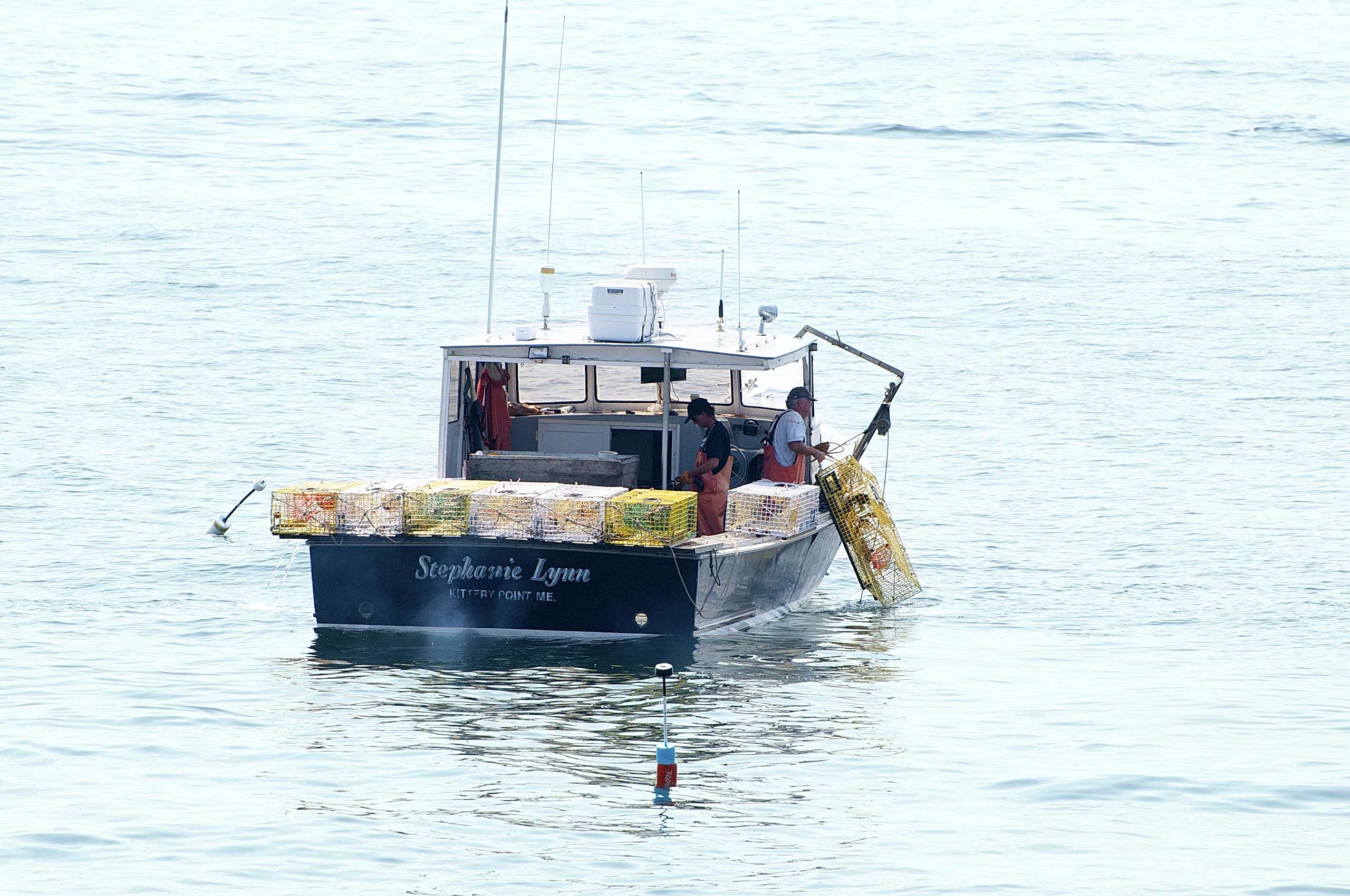 lobster-package-camden-harbour-inn-lobster-tour