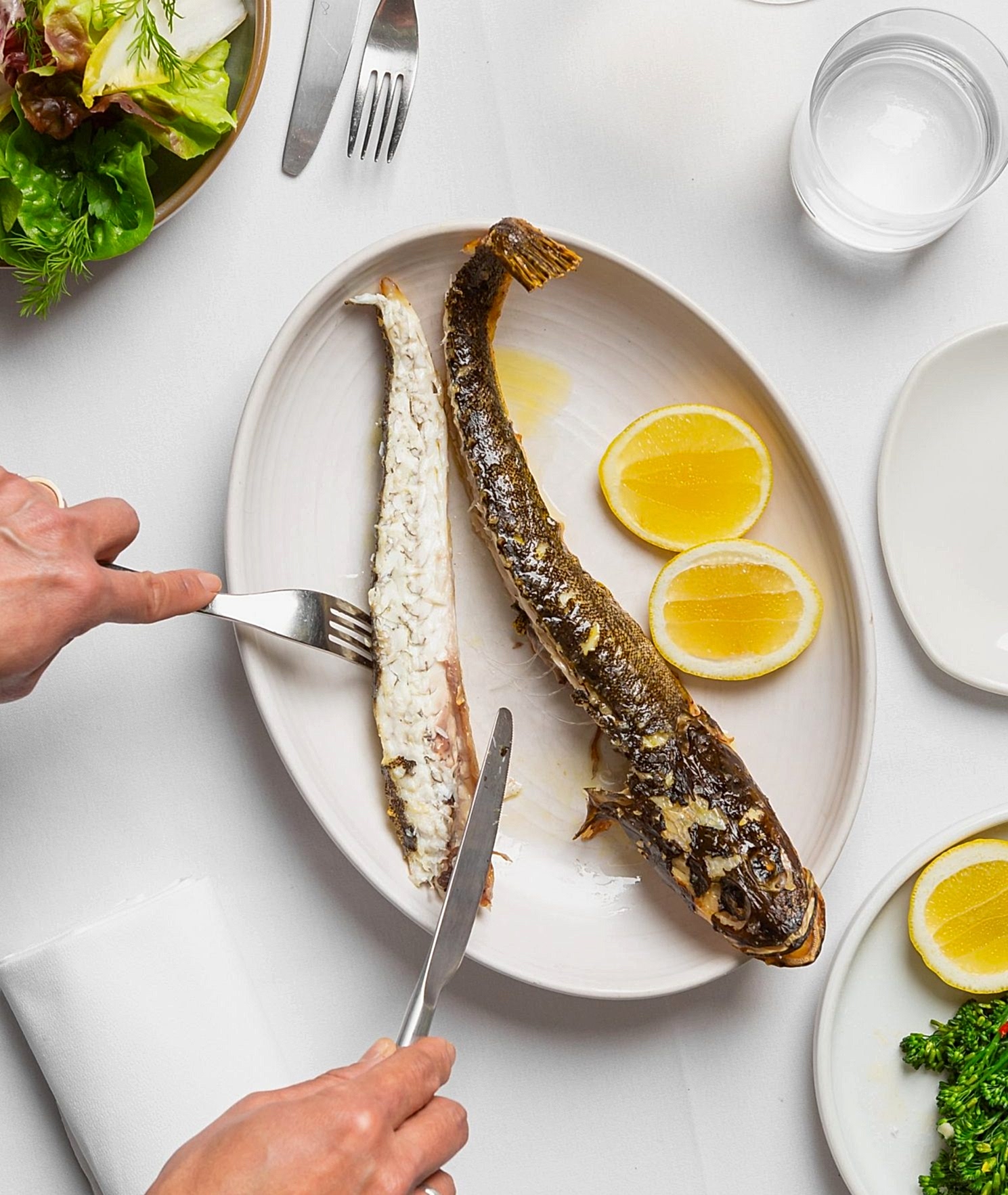 Feast Of Seven Fishes doing event with Brown Trading Company and Barton Seaver